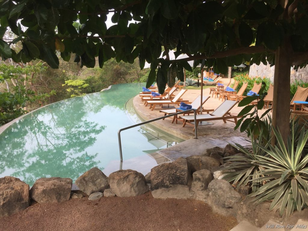 a pool with lounge chairs and a tree