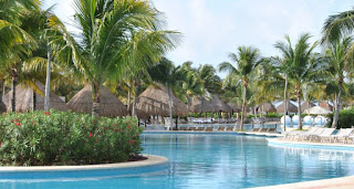 a pool with palm trees and straw umbrellas