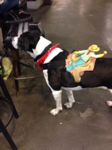a dog with a toy cowboy on its back