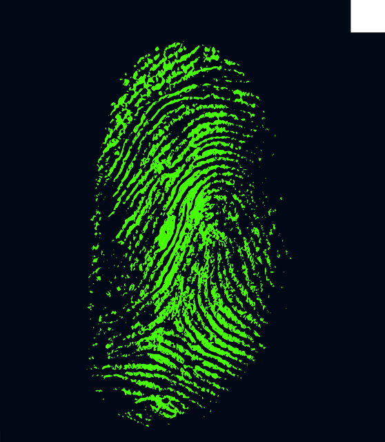 fingerprint-257038_640