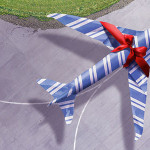 a blue and white airplane with a red bow