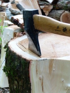 a axe stuck in a tree stump