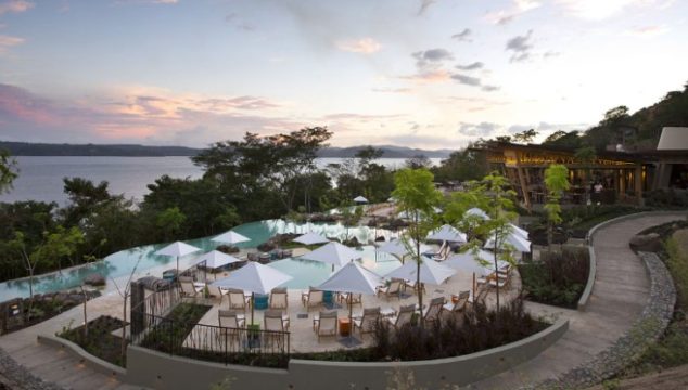 andazpapagayo-will-run-for-miles