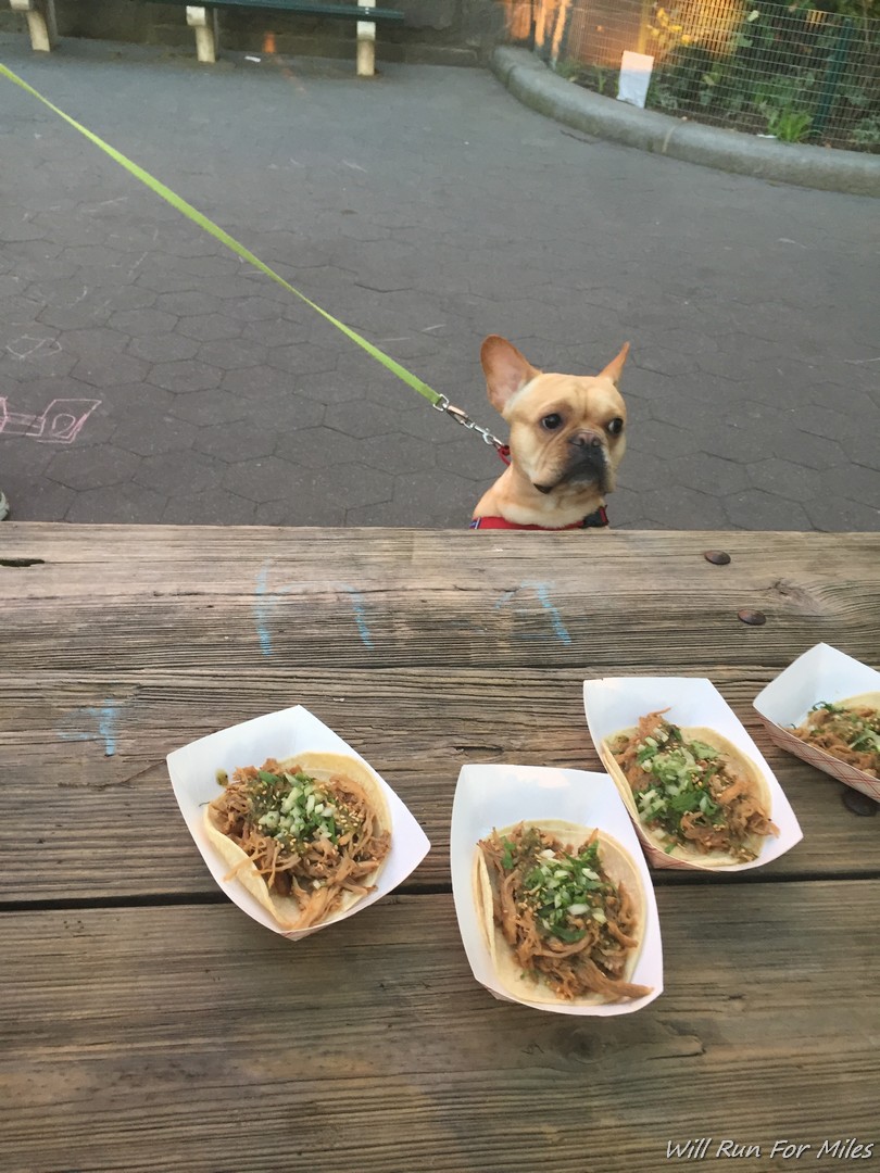 a dog on a leash on a leash behind a table with food on it