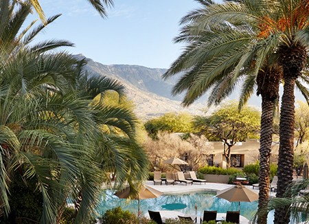 a pool with palm trees and mountains in the background