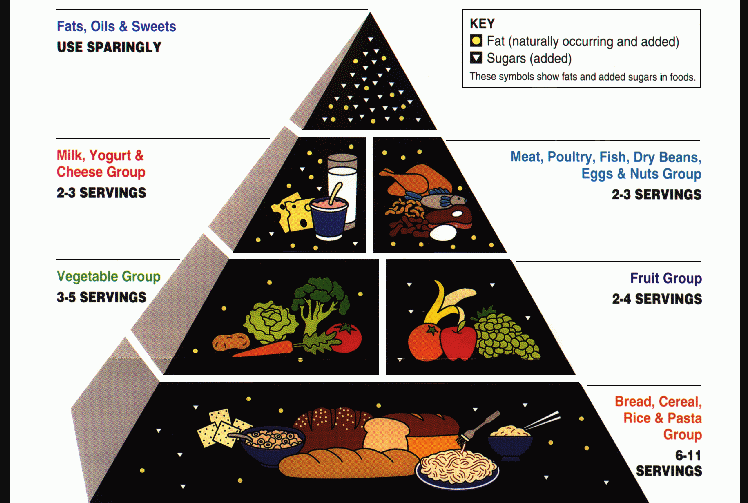 a food pyramid with text and images