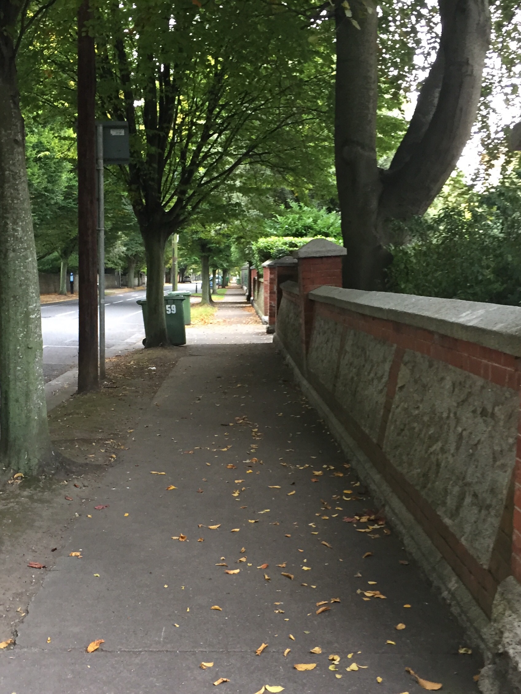 a sidewalk with trees and a wall