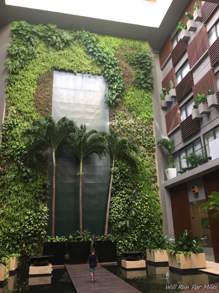 a wall of plants and trees