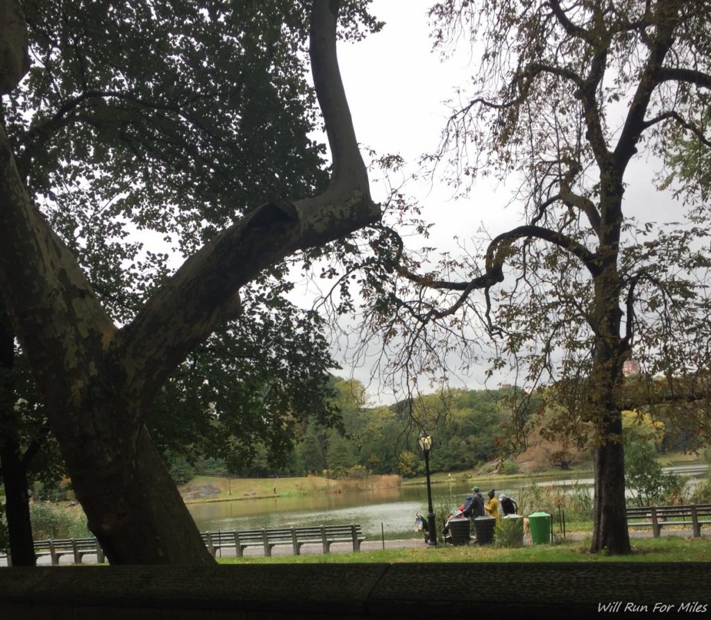 a tree next to a lake