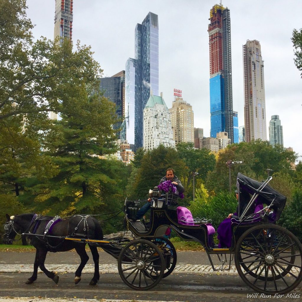 a horse carriage with a woman in purple riding on it