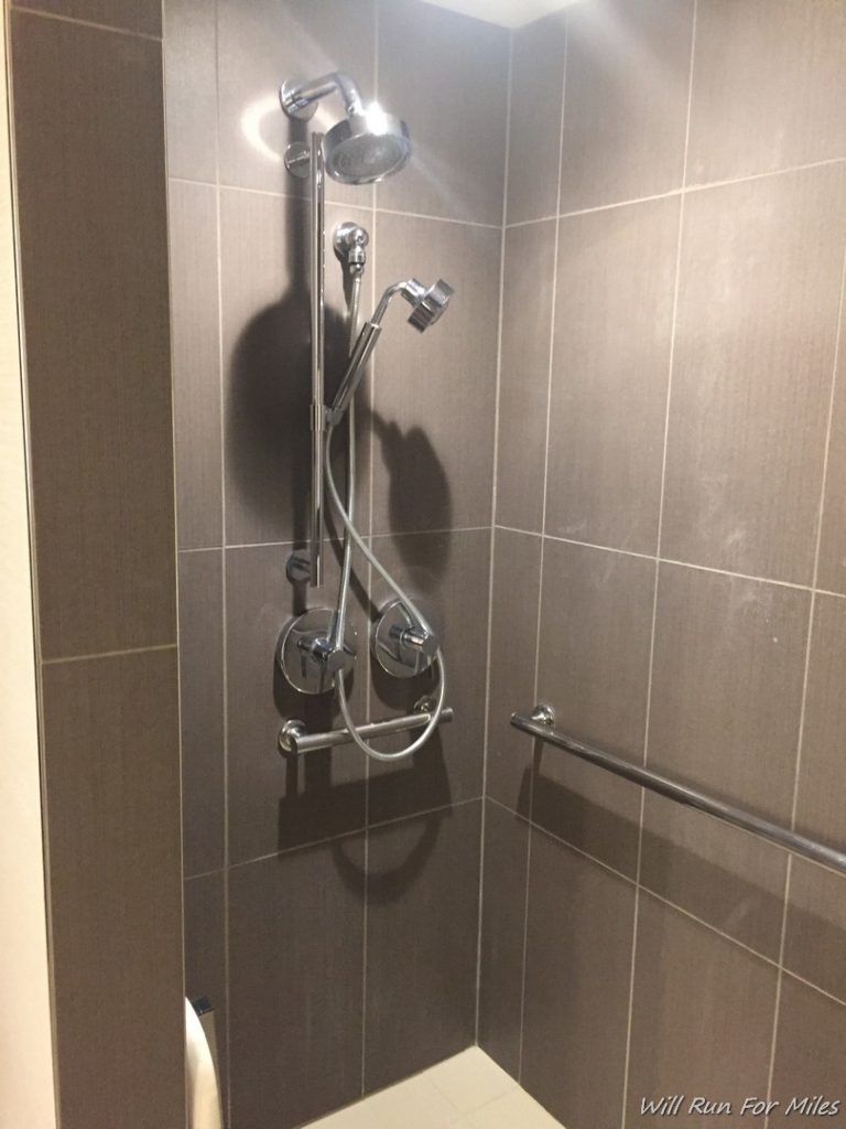 a shower head and hand rail in a bathroom