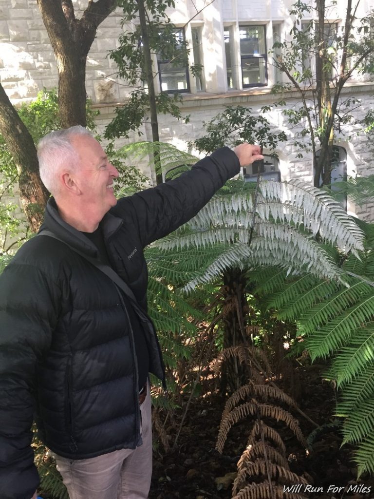 a man pointing at a plant