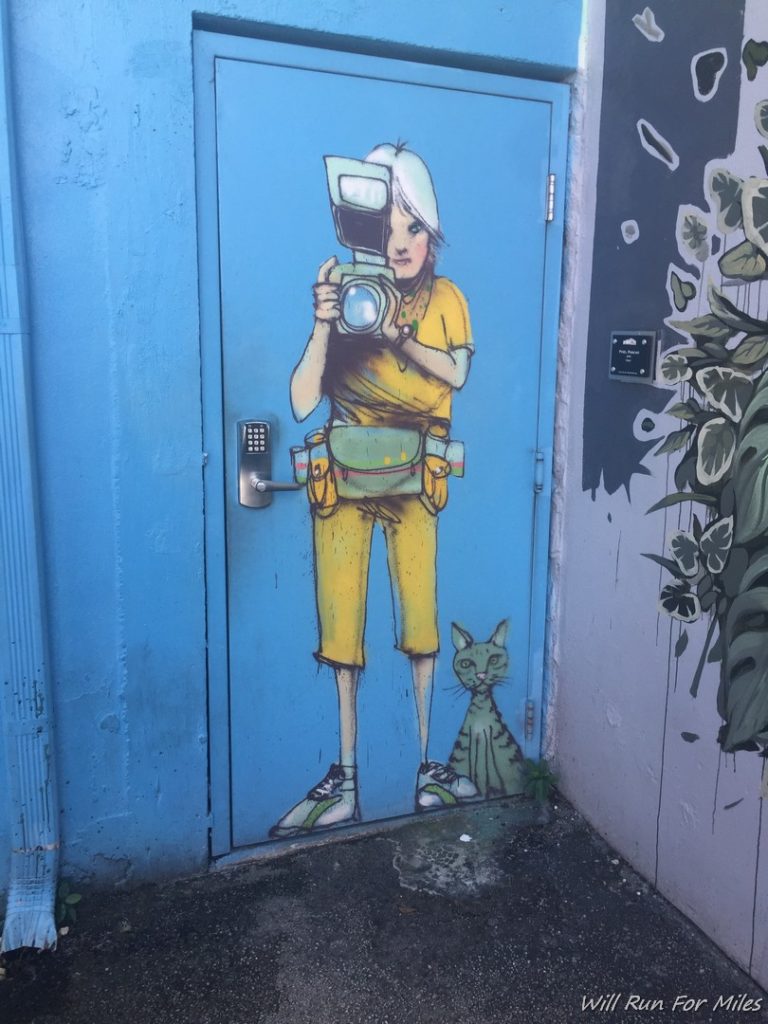 a blue door with a painting of a woman holding a camera