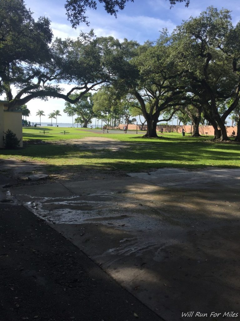 a park with trees and grass