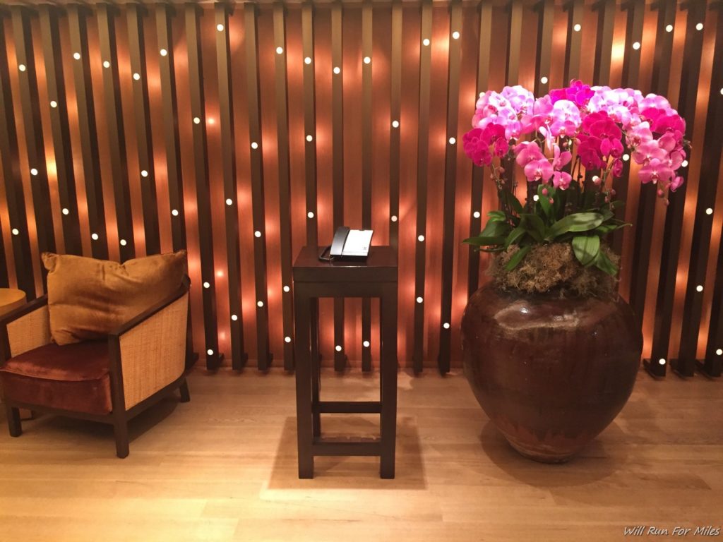 a vase with flowers in front of a wall with lights