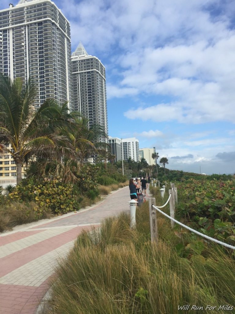 a path with palm trees and buildings in the background