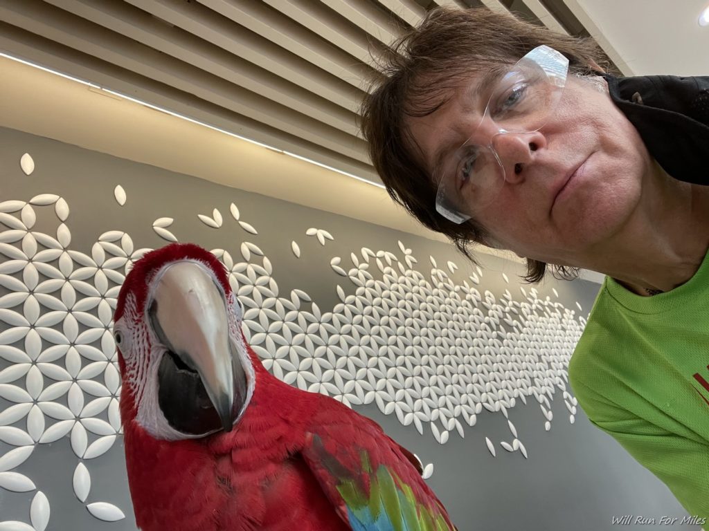 a man taking a selfie with a parrot