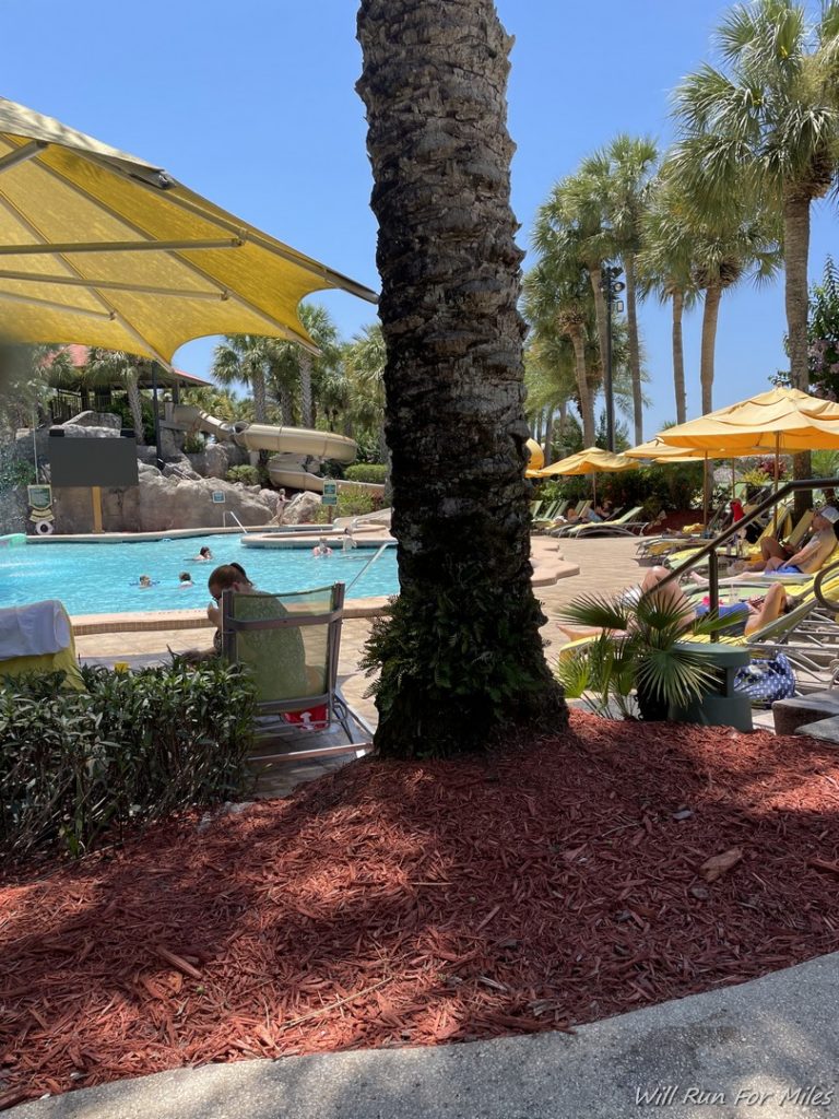 a pool with palm trees and a palm tree and a yellow umbrella