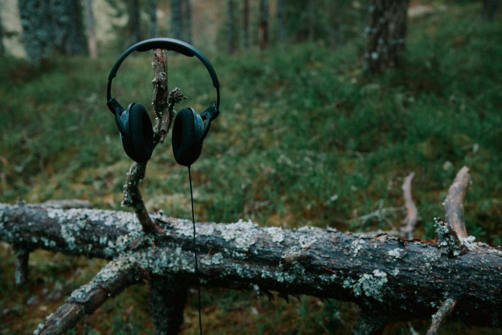 headphones on a branch in the woods