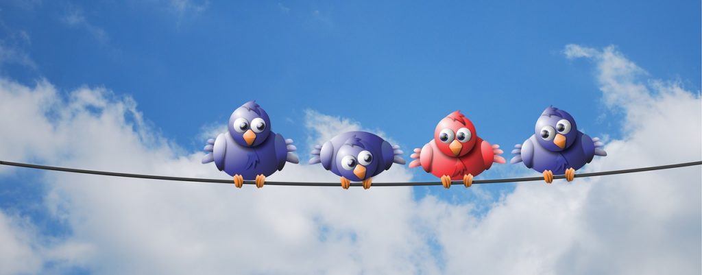 birds on a wire with blue sky and clouds