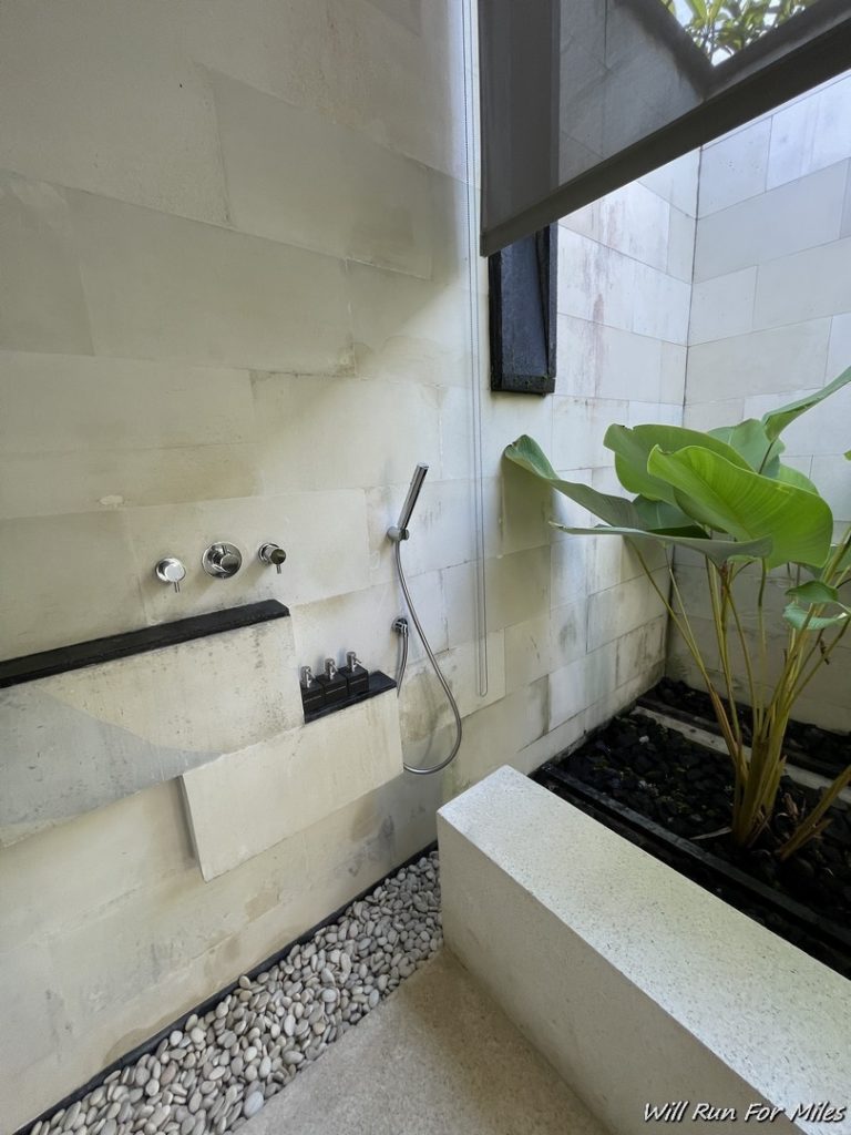 a shower with a plant in the corner