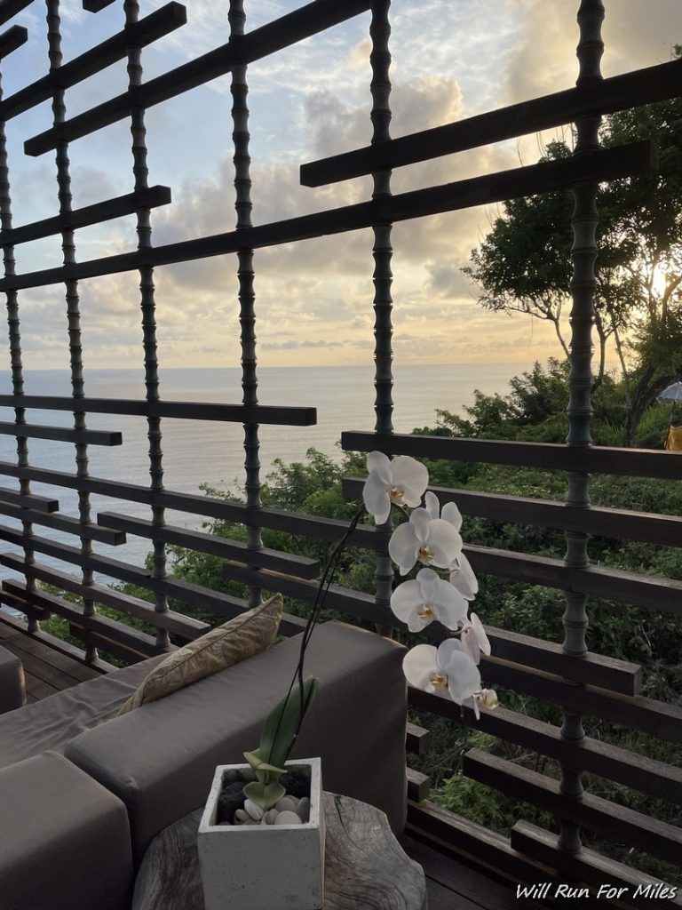 a white orchid on a balcony overlooking the ocean