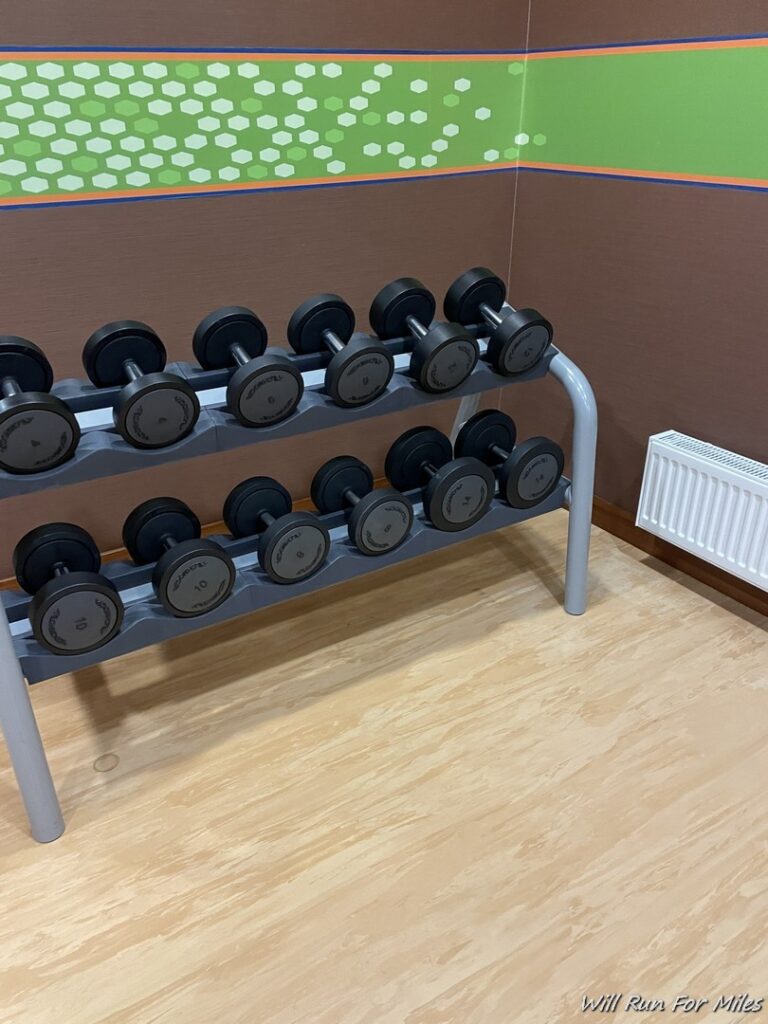 a rack of dumbbells in a room
