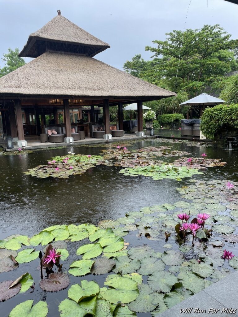 a pond with lily pads and a building with a thatched roof