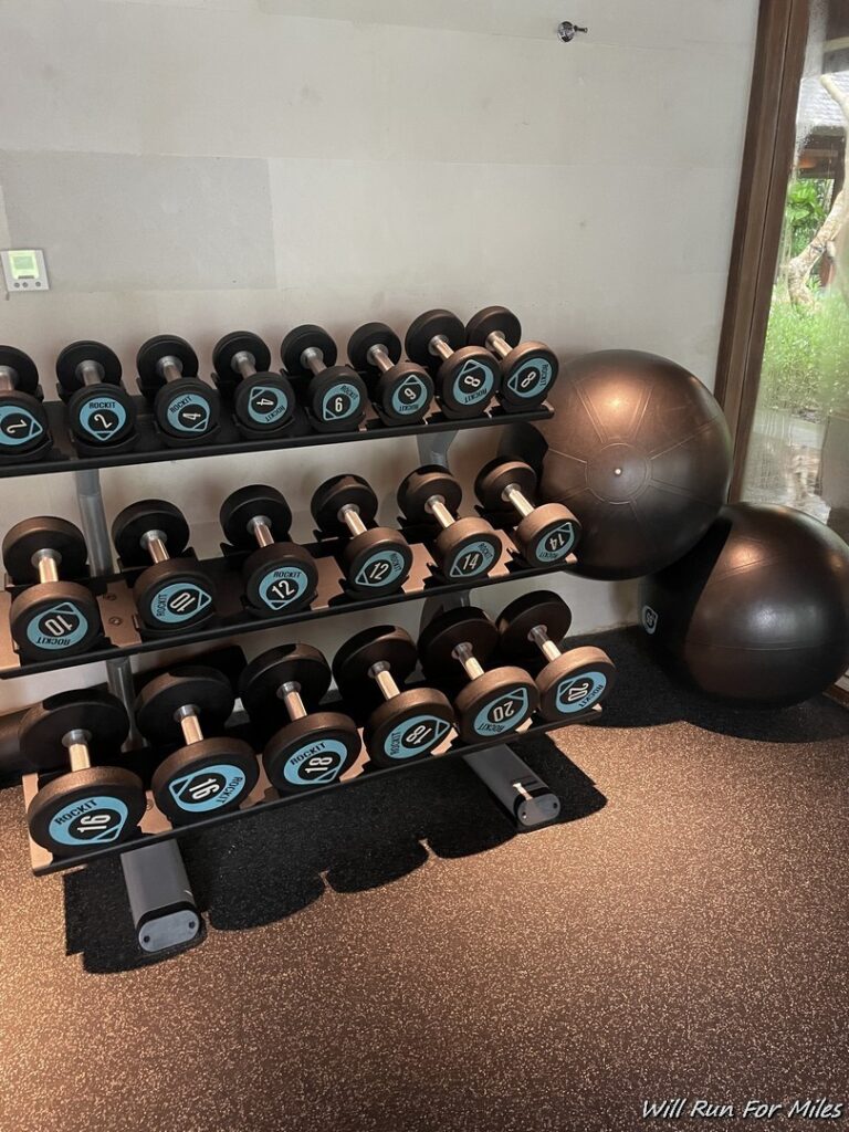 a rack of weights and balls