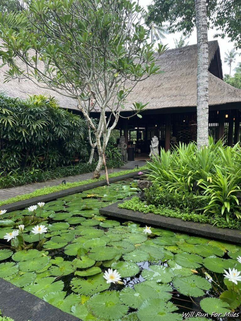 a pond with lily pads and trees in front of a building
