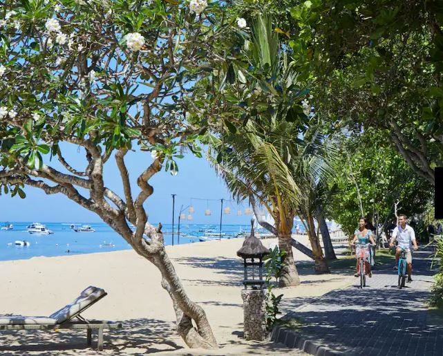 a person riding a bike on a path with trees and a beach