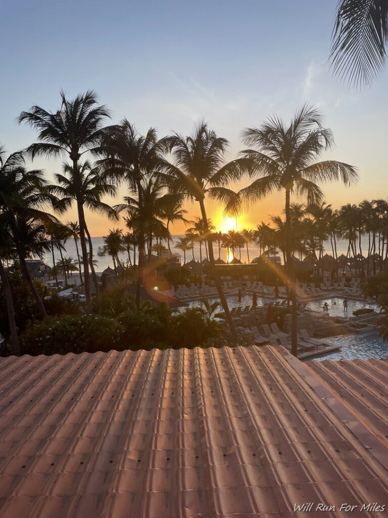 a rooftop of a hotel with palm trees and a pool