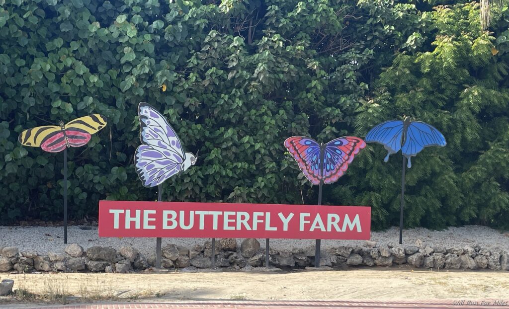 a sign with butterflies in the middle of a road