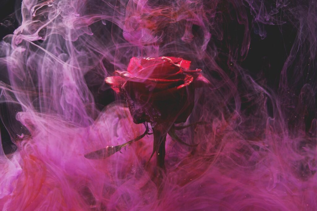 a rose in water with smoke
