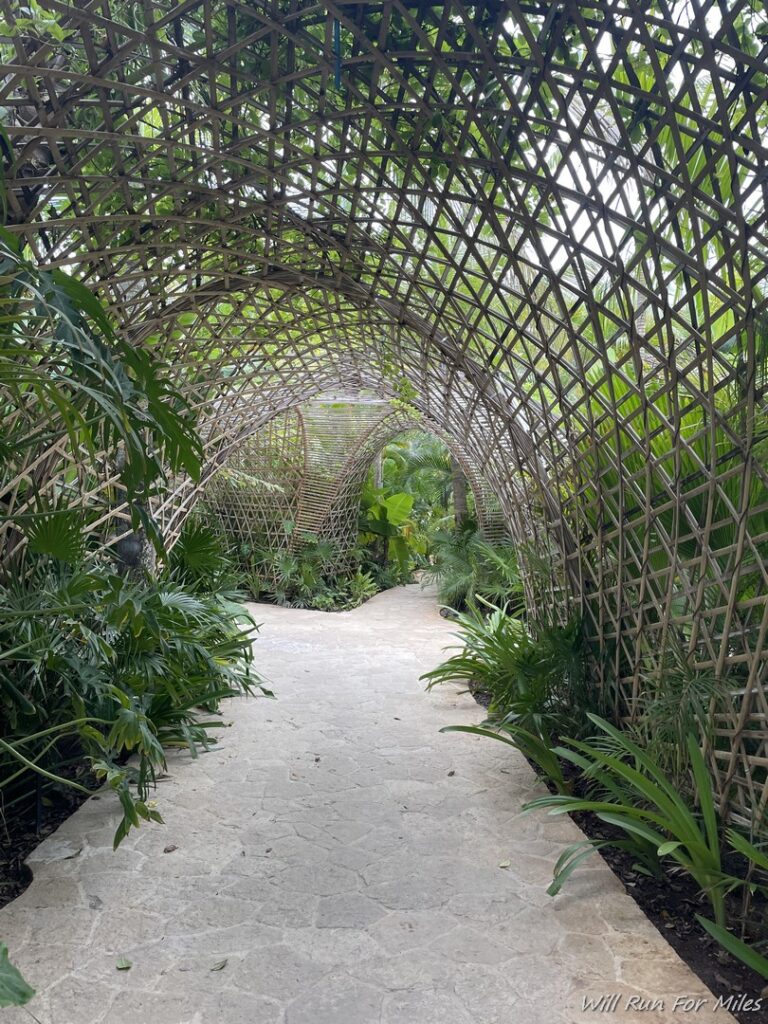 a walkway with a bamboo tunnel