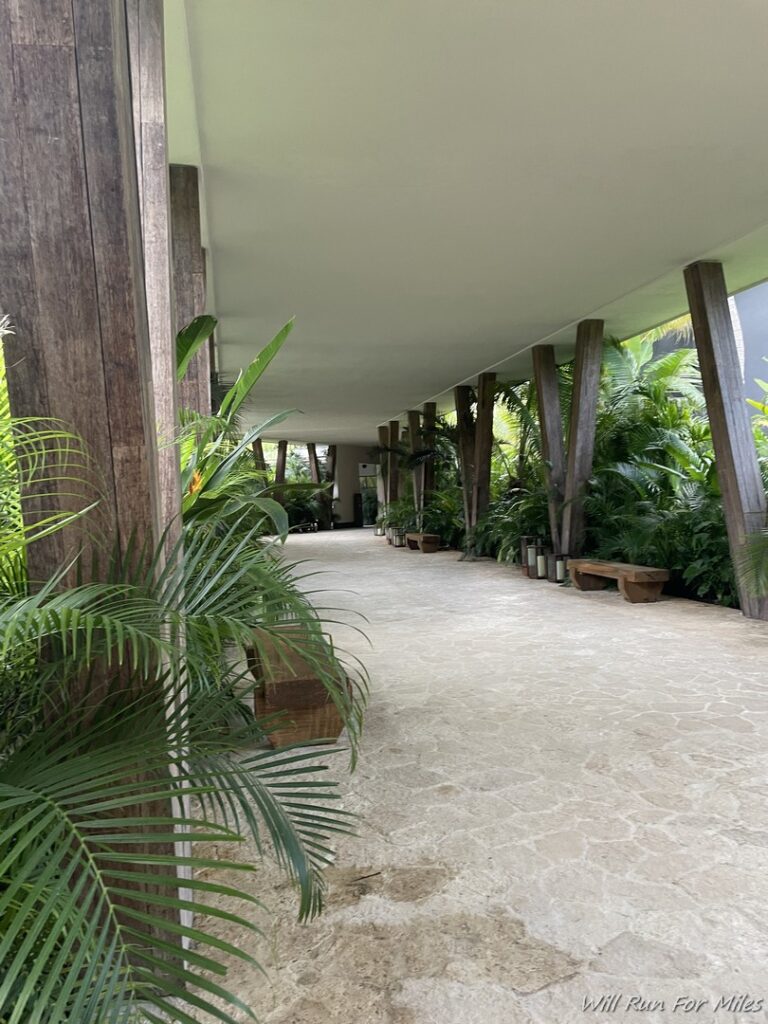 a walkway with plants and a white ceiling