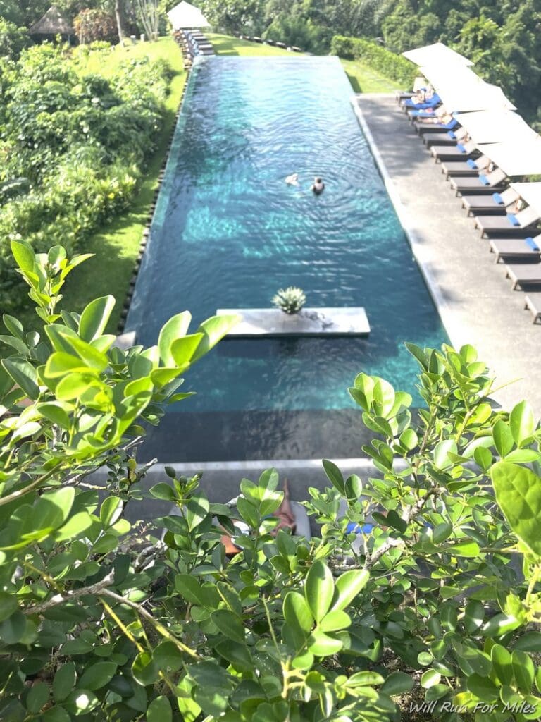 a pool with people swimming in it