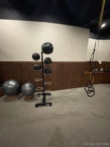 a gym with balls and straps
