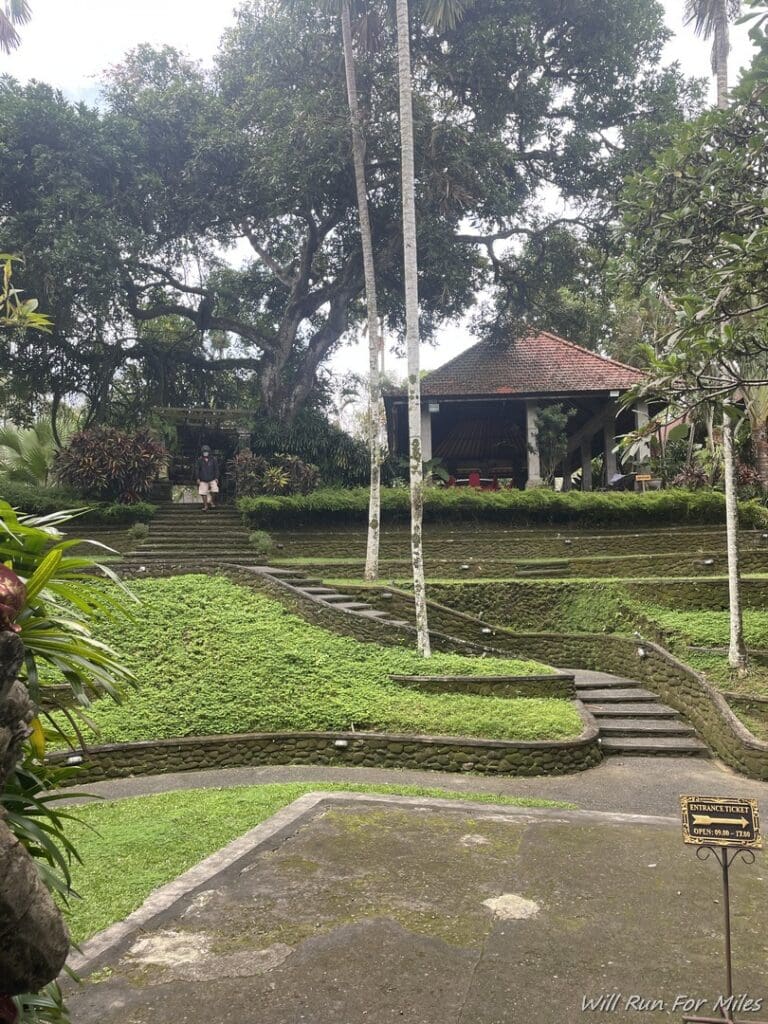 a walkway with a gazebo and trees