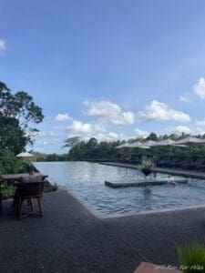 a pool with chairs and umbrellas