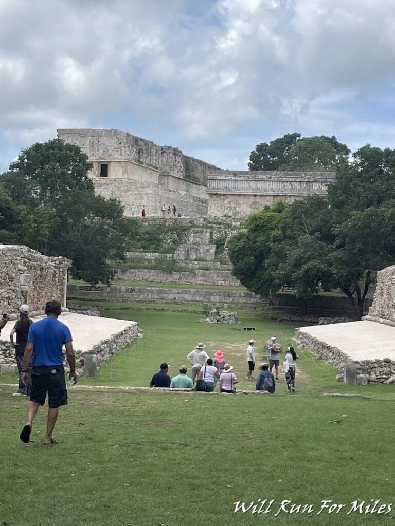 a group of people in a grassy area with stone steps and trees