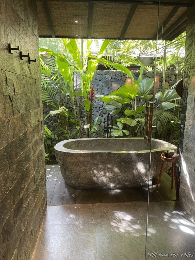 a bathtub in a bathroom with plants