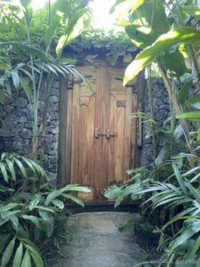 a wooden door surrounded by plants