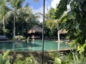 a pool with palm trees and a hut