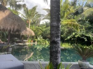 a pool with a palm tree and a straw hut