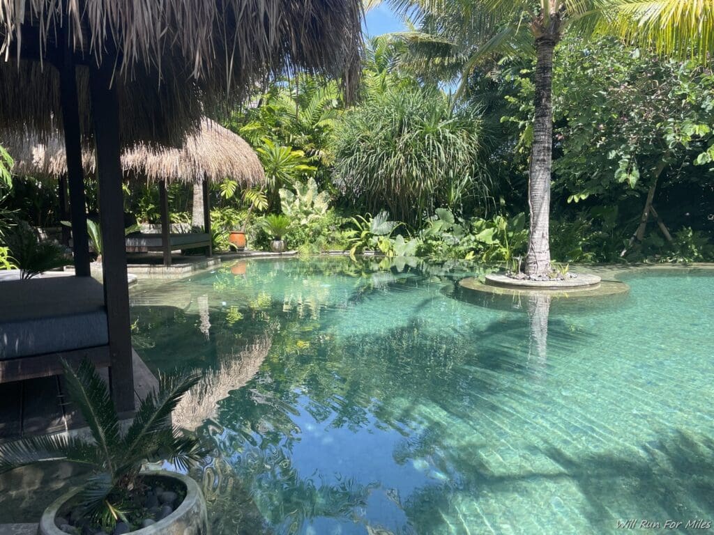 a pool with palm trees and a hut