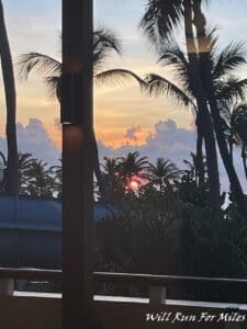 a sunset behind palm trees