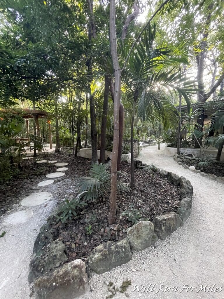 a path in a garden