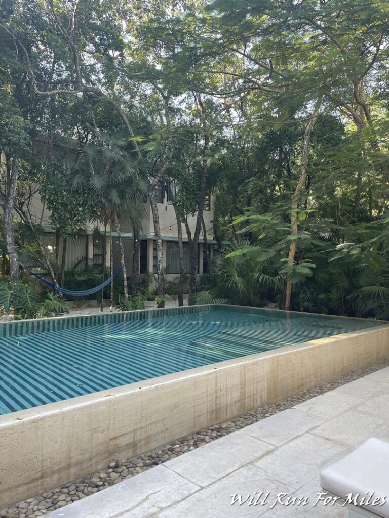 a pool with trees around it