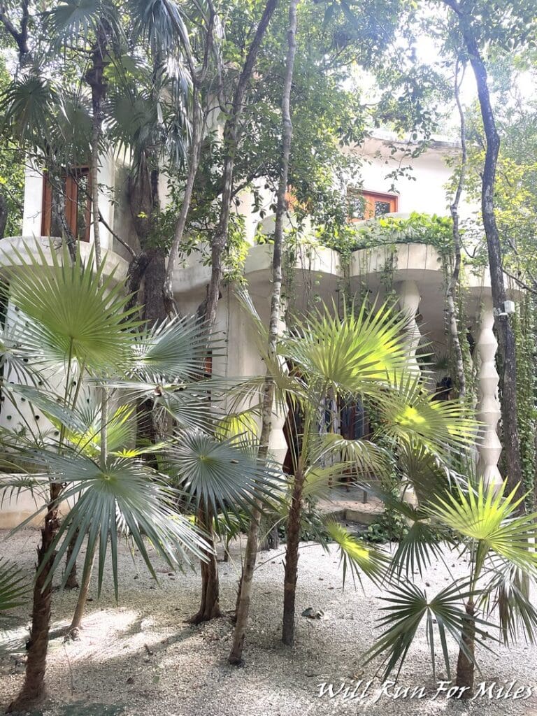 a house with trees and a building